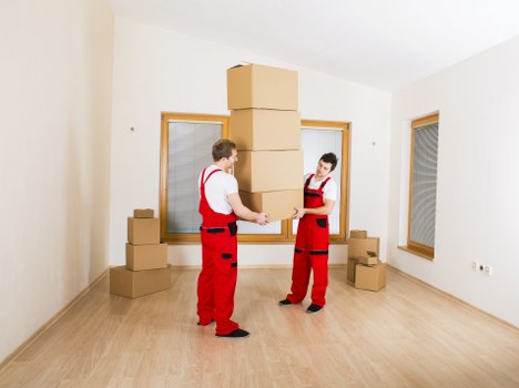Professional movers handling a compact removal job in Osidge